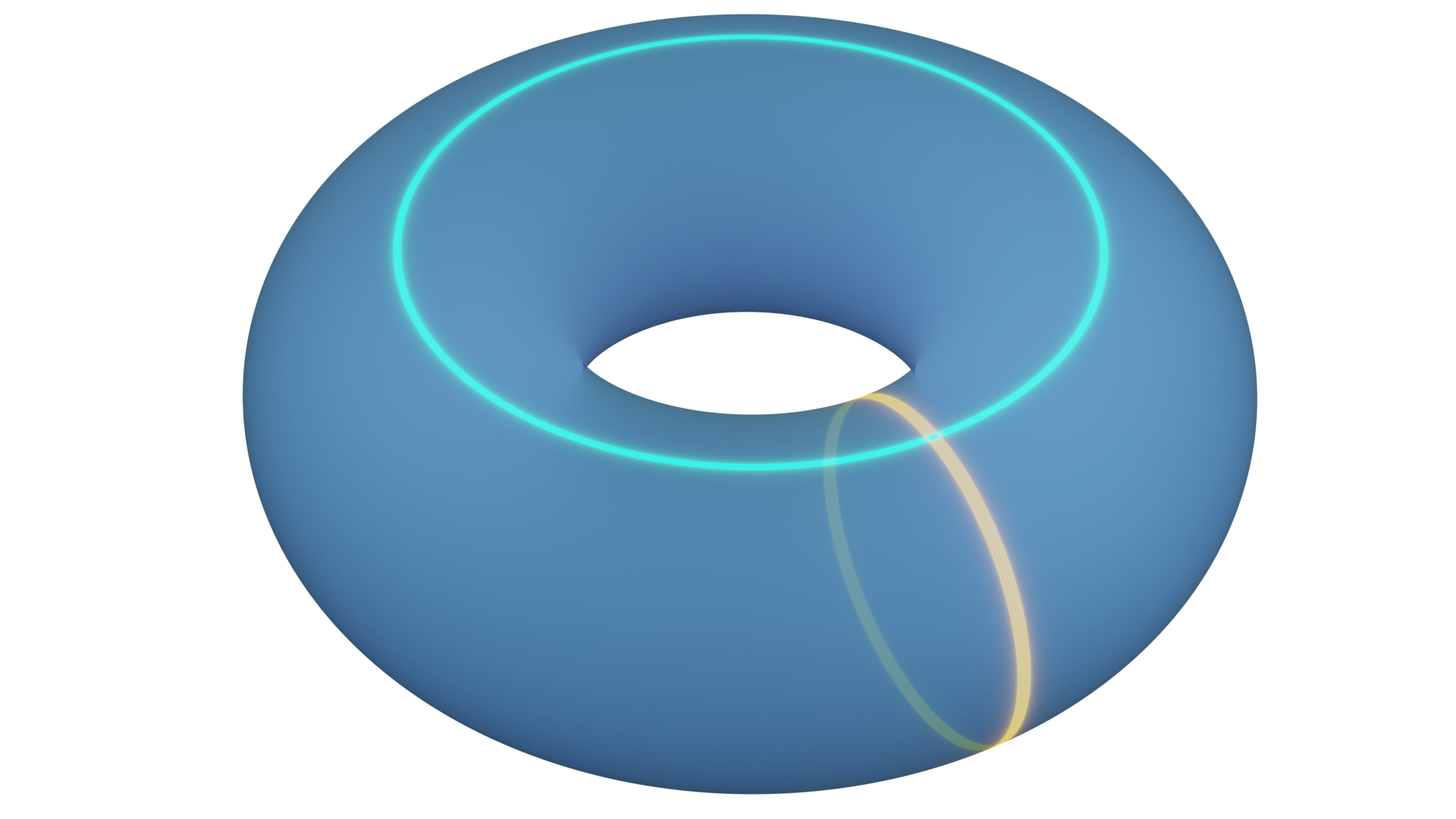 torus picture
